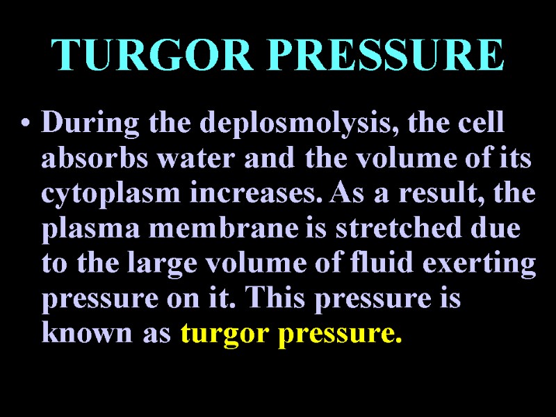 TURGOR PRESSURE During the deplosmolysis, the cell absorbs water and the volume of its